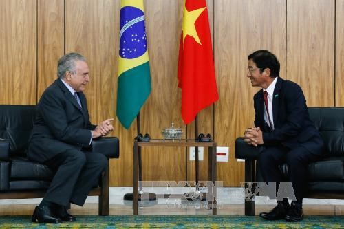 Бразилия желает активизировать сотрудничество с Вьетнамом  - ảnh 1